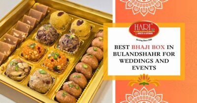 Best Bhaji Box in Bulandshahr for Weddings and Events